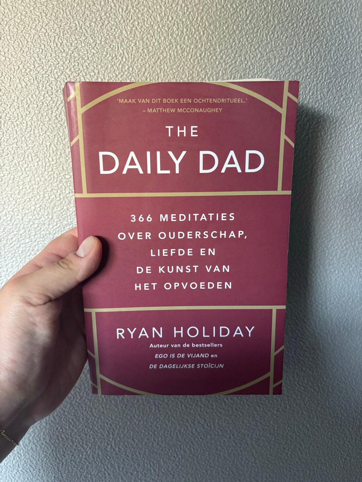 The Daily Dad - Boek als nieuw, Ophalen of Verzenden, Zo goed als nieuw, Opvoeding tot 6 jaar