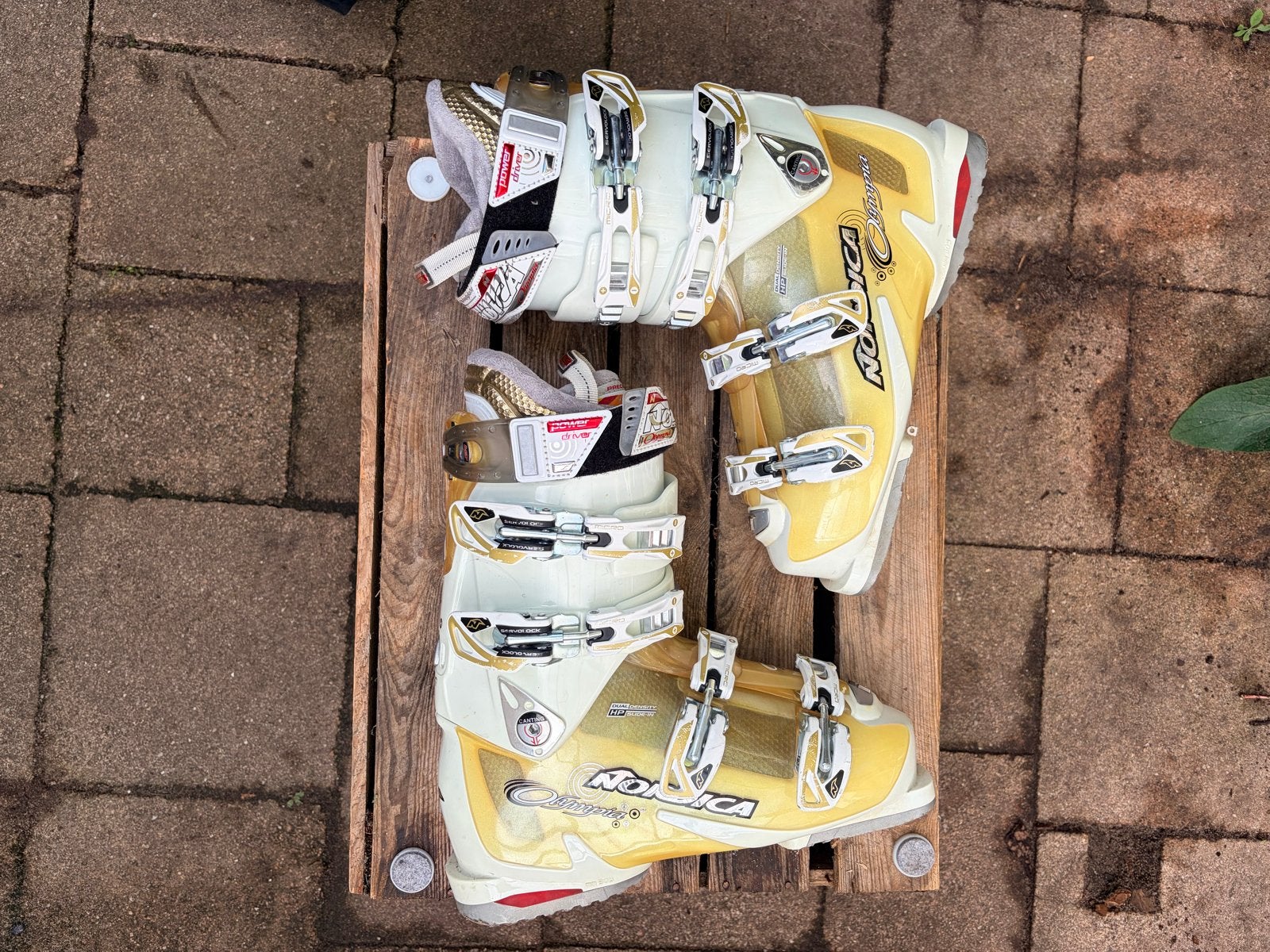 Nordica Olympia Skischoenen -Dames -Maat40/41 260-265. 305mm, Sport en Fitness, Gebruikt, Schoenen, Ophalen of Verzenden, Nordica