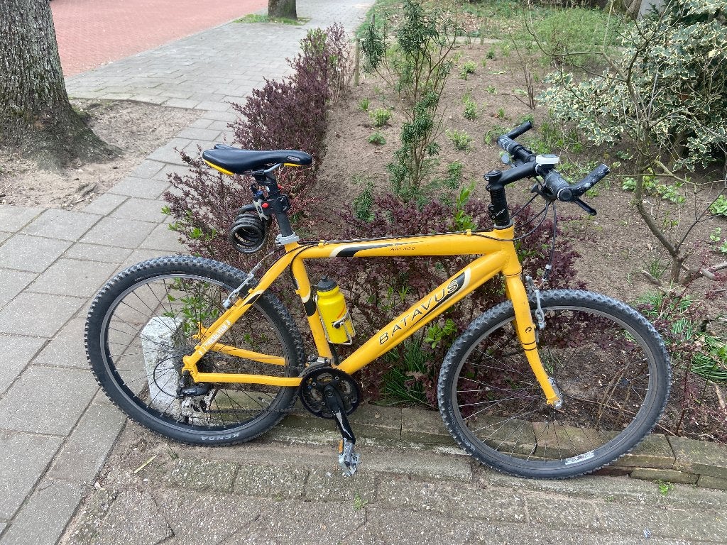 Batavus ATB, Gebruikt, Velgrem, 45 tot 49 cm, Geen vering