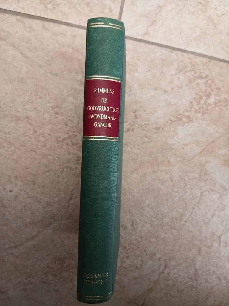 De Godvruchtige Avondmaalganger - P. Immens (1993), Boeken, Ophalen of Verzenden, Gelezen