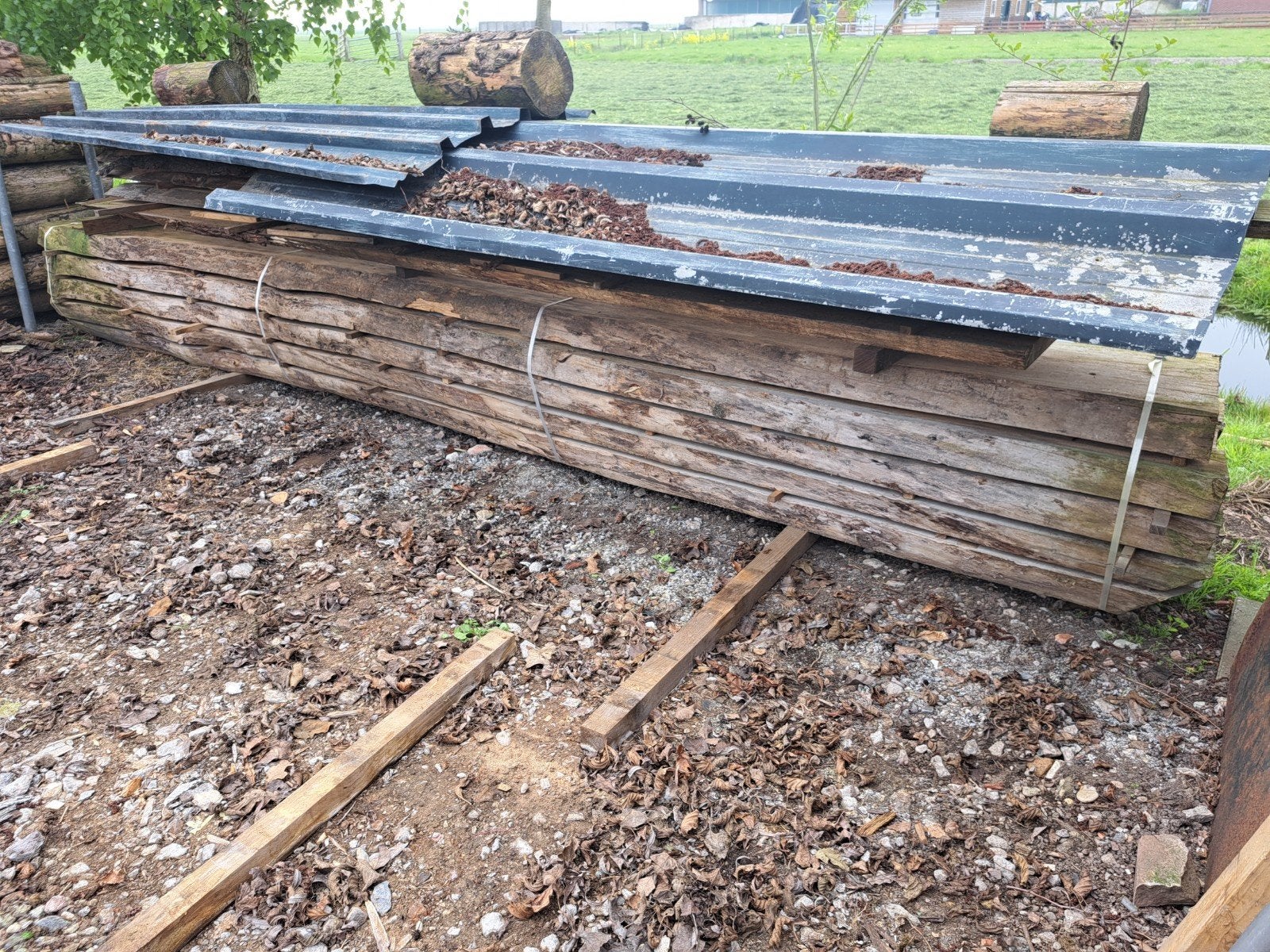 Iepen Schaaldelen - Robuust en Duurzaam Hout, Ophalen, Gebruikt, Plank, Overige houtsoorten