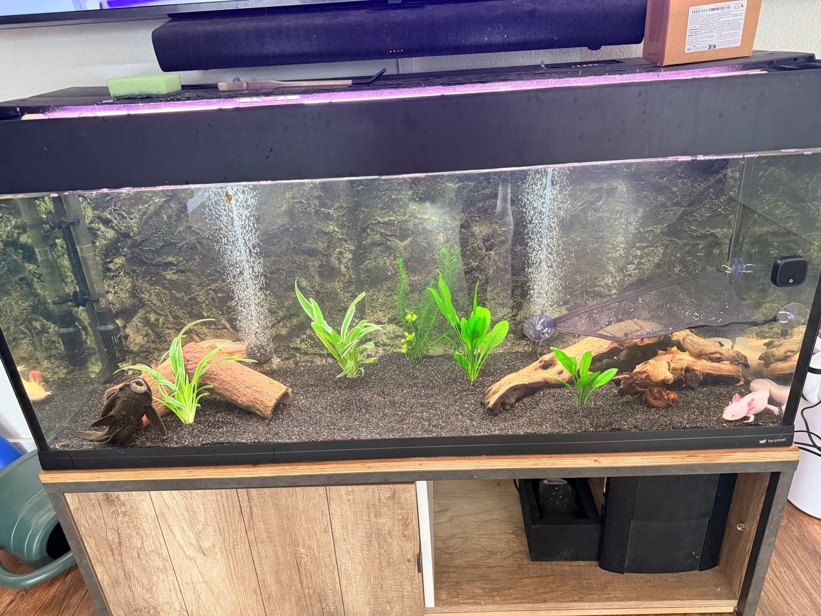 Aquarium incl kast 120cm, Dieren en Toebehoren, Vissen | Aquaria en Toebehoren, Ophalen, Zo goed als nieuw, Leeg aquarium, Inclusief deksel