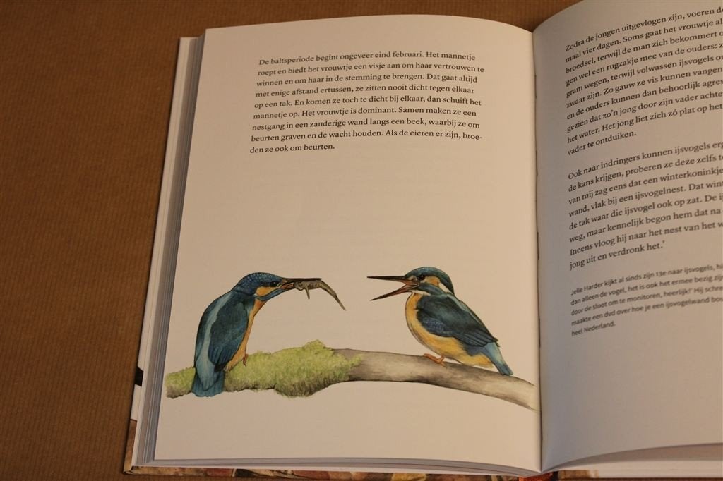 Vogels en de liefde. KNNV Uitgeverij., Ophalen of Verzenden, Zo goed als nieuw, Vogels