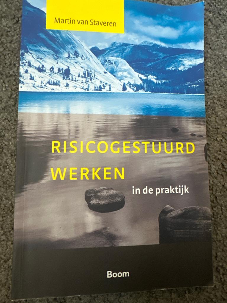 Martin van Staveren - Risicogestuurd werken in de praktijk, Sociale wetenschap, Ophalen of Verzenden, Zo goed als nieuw, Martin van Staveren