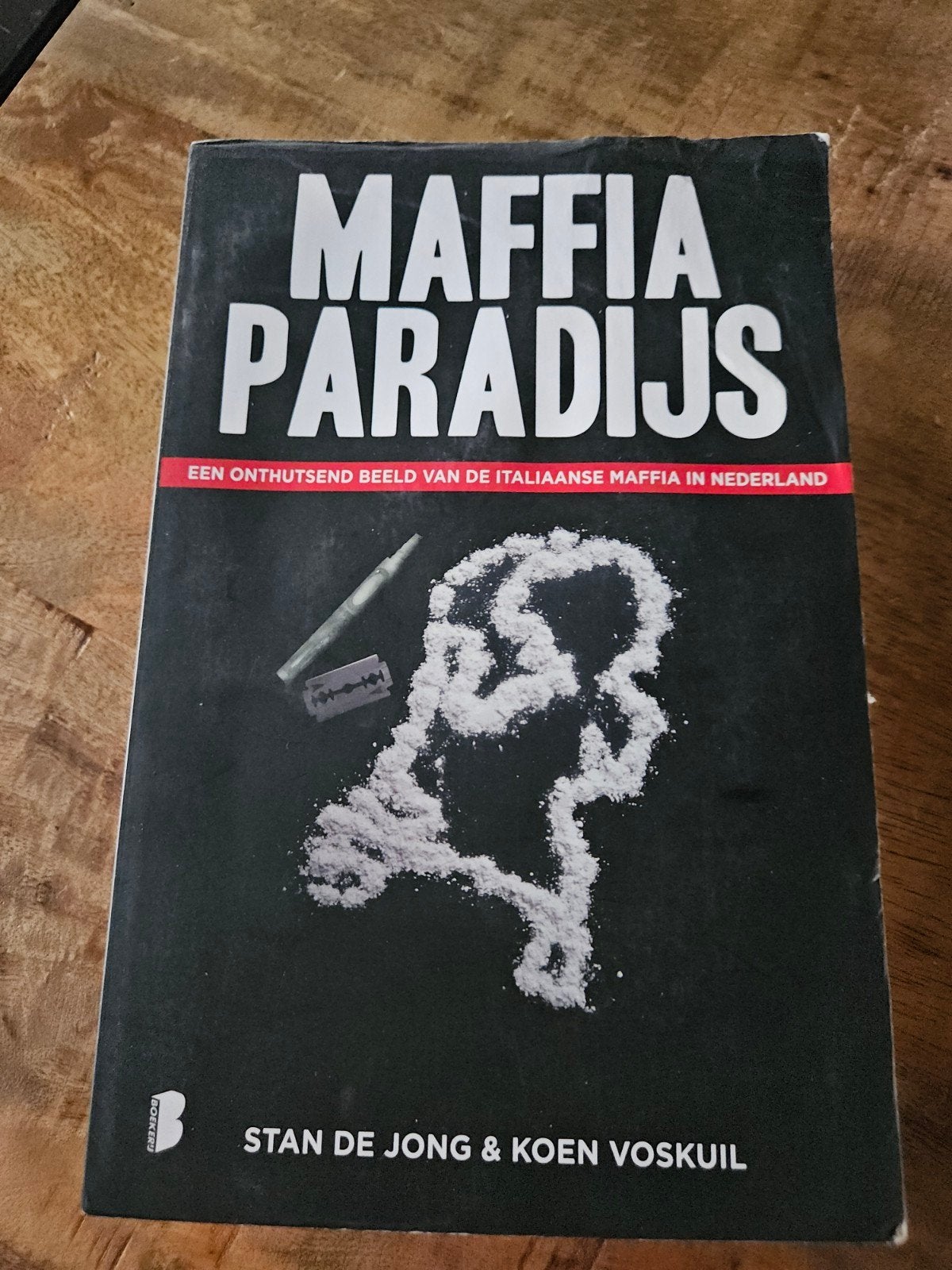 Stan de Jong - Maffiaparadijs, Ophalen of Verzenden, Zo goed als nieuw, Stan de Jong; Koen Voskuil
