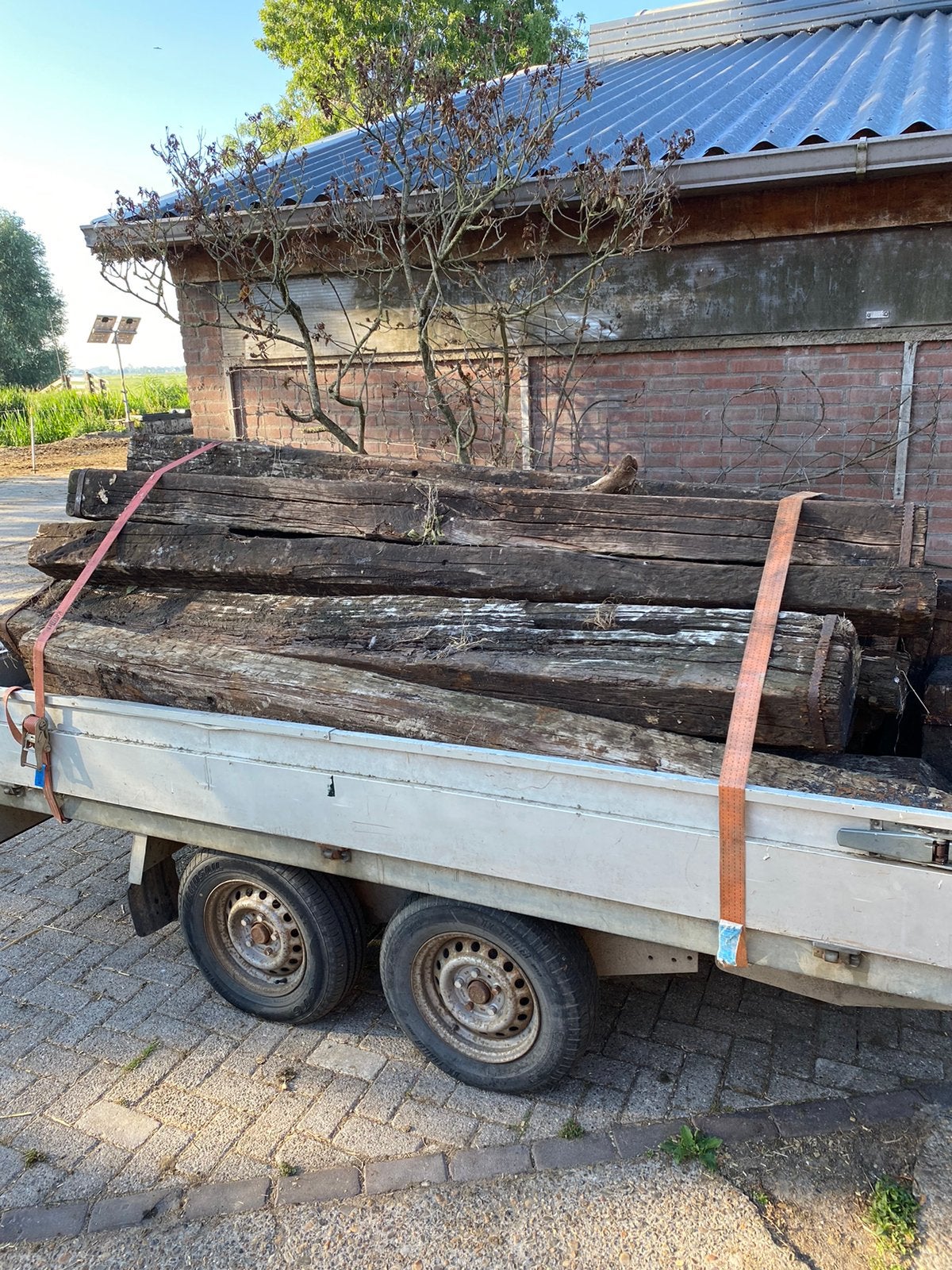 Bielzen, Ophalen, Gebruikt
