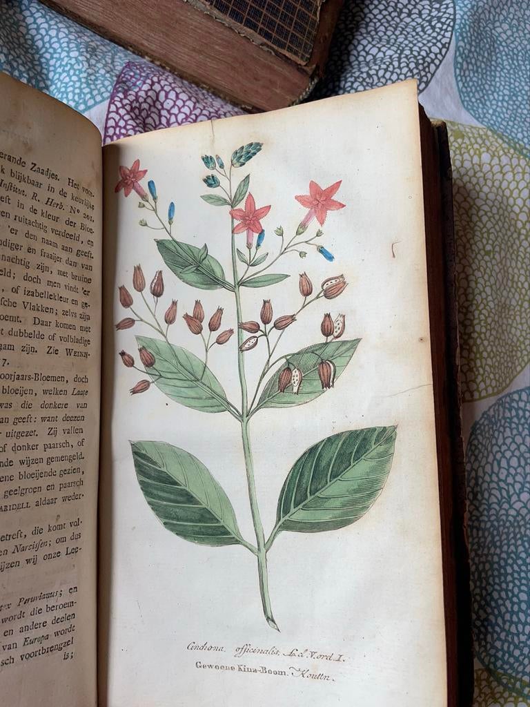 Huishoudkundig Handboek voor Stedeling en Landman (1800), Antiek en Kunst, Antiek | Boeken en Bijbels, Ophalen of Verzenden