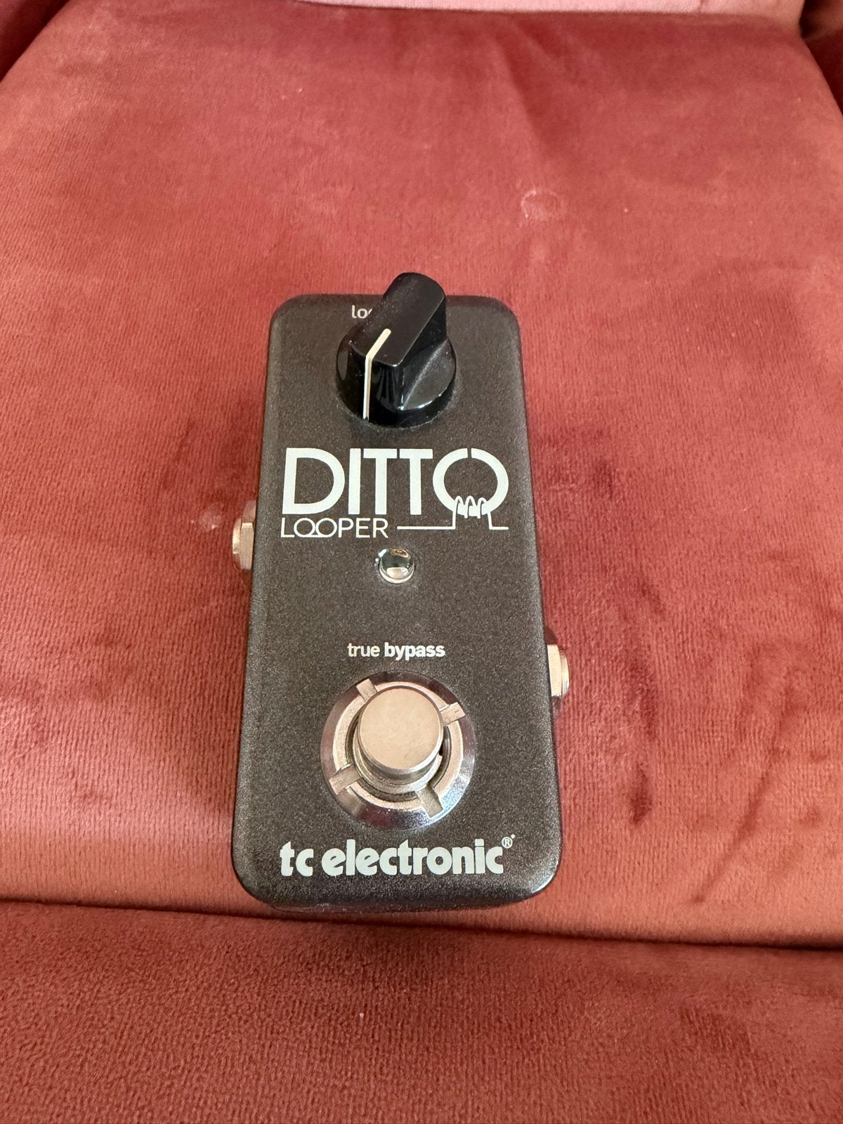 TC Electronic Ditto Looper Pedaal - Compact en Gebruiksvrien, Ophalen of Verzenden, Gebruikt, Overige typen