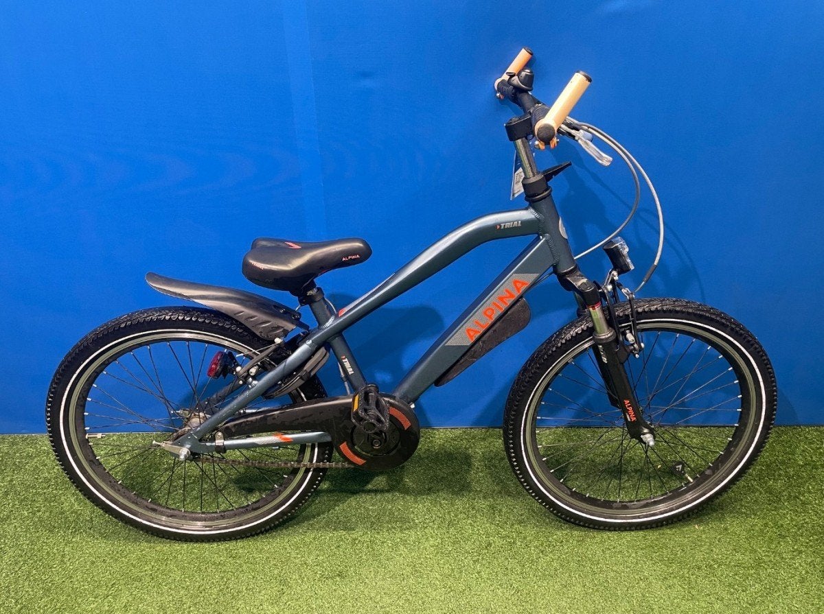 Alpina Trial 22 inch Jongens Dark Petrol Matt 31, Ophalen, 20 inch of meer, Gebruikt, -