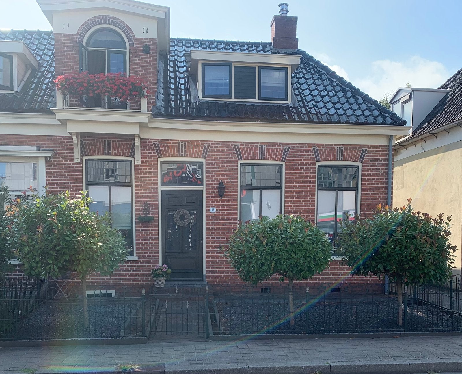 3 stuks photinia op stam red robin, 100 tot 250 cm, Zomer, Ophalen, Volle zon