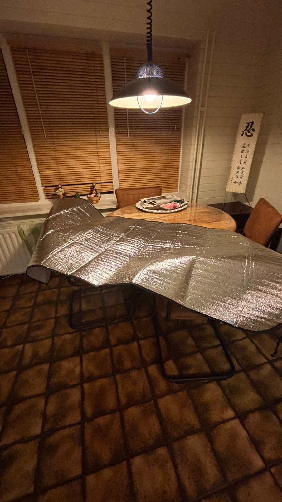 Carpoint Anti-ijs Deken Polybag 85 x 173 cm, Ophalen, Zo goed als nieuw