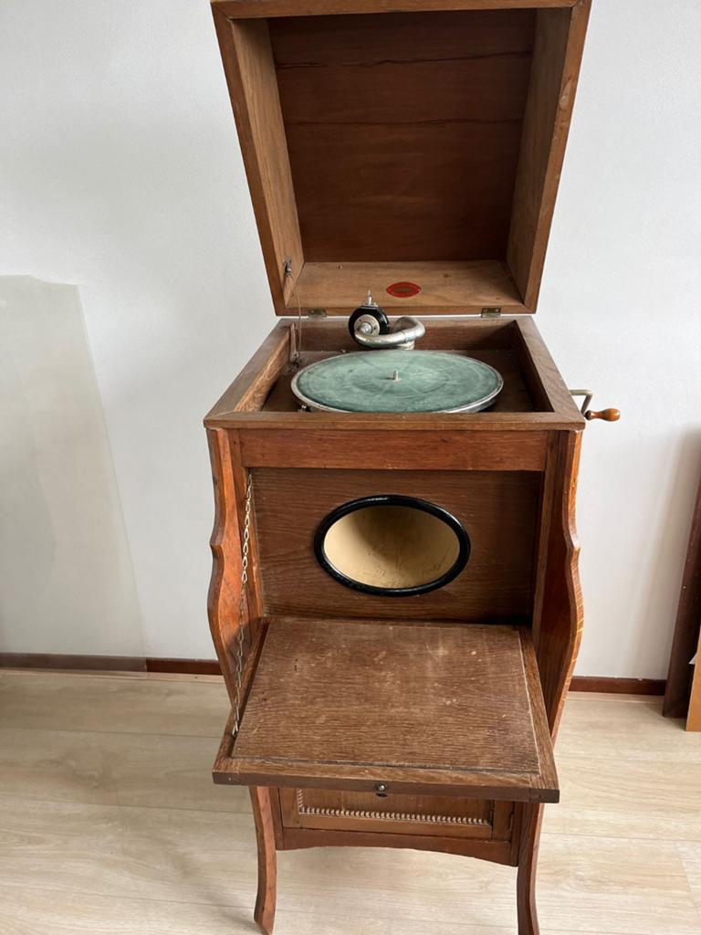 Antieke Grammofoon met 78 toeren platen en koffers, Audio, Tv en Foto, Platenspelers, Ophalen, Gebruikt, Platenspeler, Overige merken