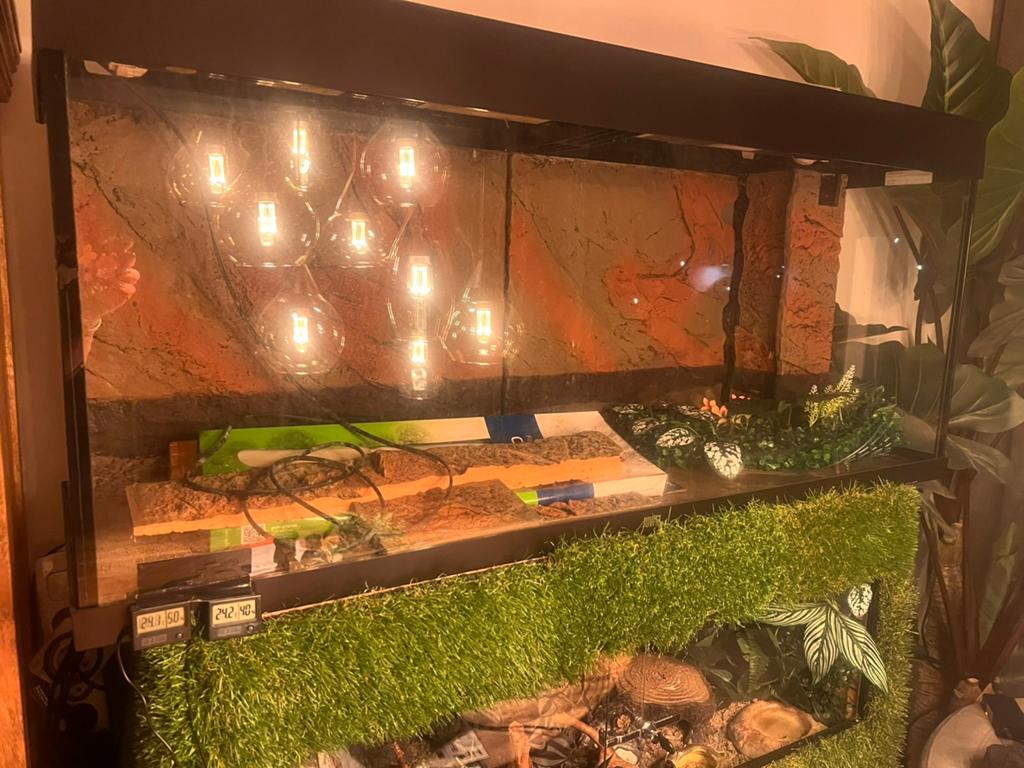 Juwel aquarium, Ophalen, Leeg aquarium