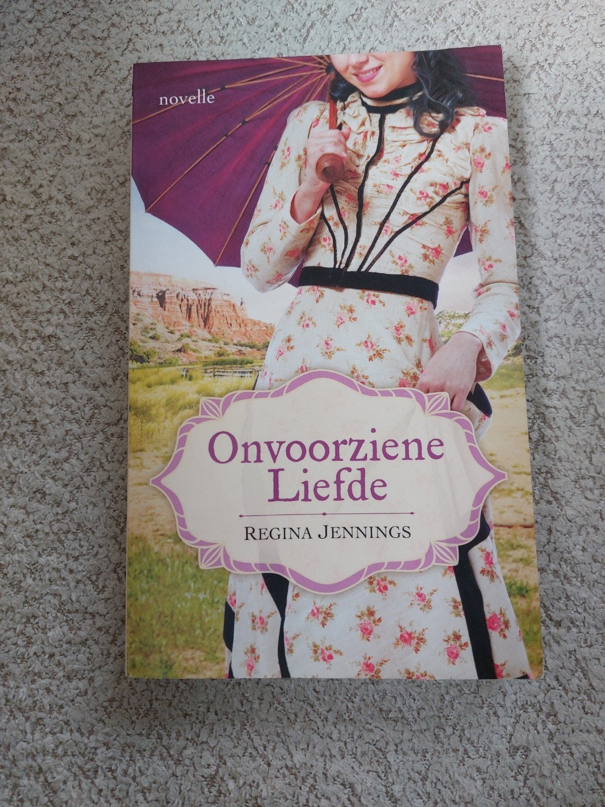 Novelle onvoorziene liefde - Regina Jennings, Boeken, Ophalen of Verzenden, Gelezen