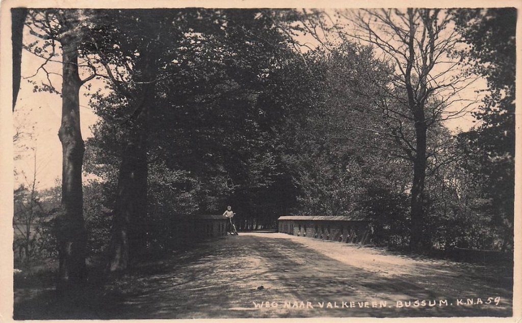 703-011-017 Weg naar Valkeveen Bussum, Verzenden, Voor 1920, Noord-Holland