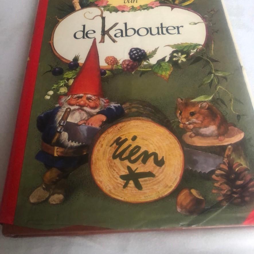 boek, Hobby en Vrije tijd, Overige Hobby en Vrije tijd, Ophalen of Verzenden, Zo goed als nieuw