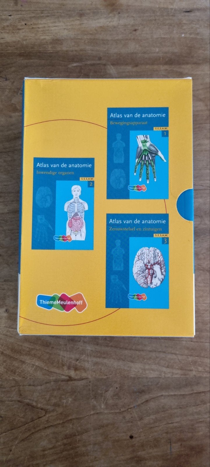 Atlas van de anatomie - Sesam 1, 2 en 3, ThiemeMeulenhoff, Zo goed als nieuw, Beta, HBO