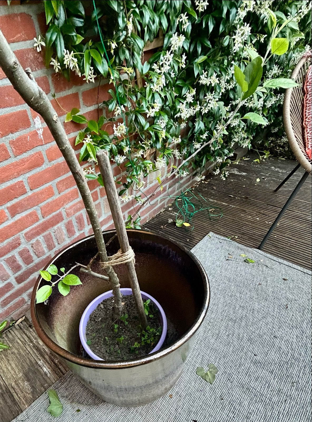 Grote keramische bloempot voor buiten (en binnen), Tuin en Terras, Bloempotten, 40 cm of meer, Ophalen of Verzenden, Zo goed als nieuw