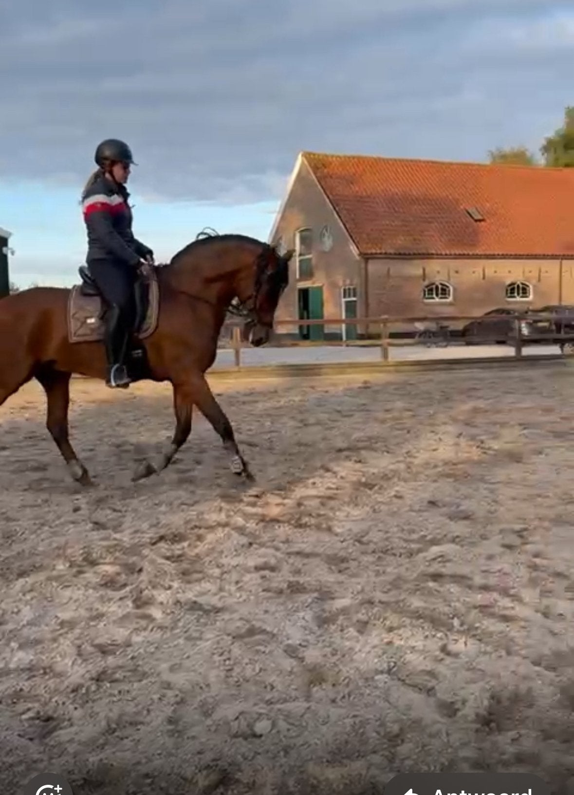 Verzorger/bijrijder aangeboden, Ophalen of Verzenden
