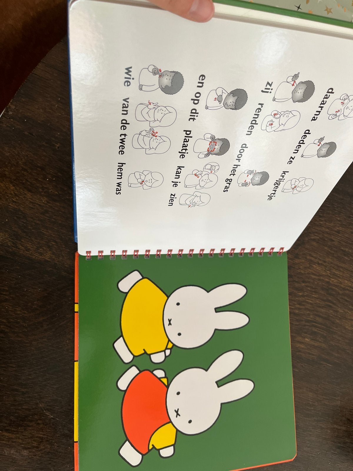 Nijntje gaat logeren - Boek met gebaren, Boeken, Ophalen of Verzenden, Nieuw, Dick Bruna, 2 tot 3 jaar