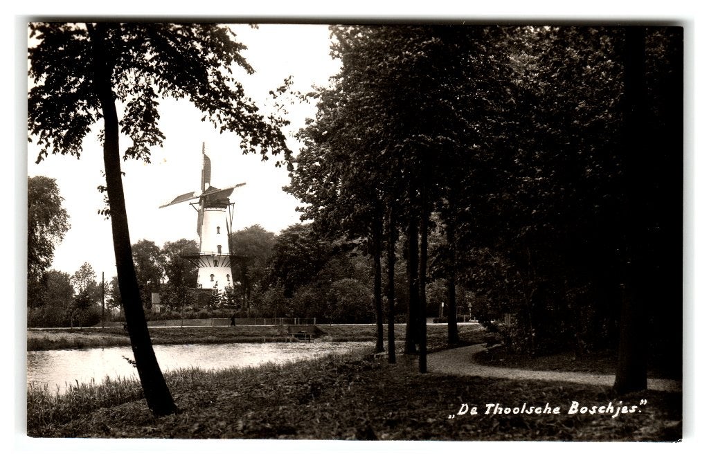 Tholen, "De Thoolsche Boschjes" Newo-Fotokaart - Molen, Verzenden, 1940 tot 1960, Gelopen, Zeeland