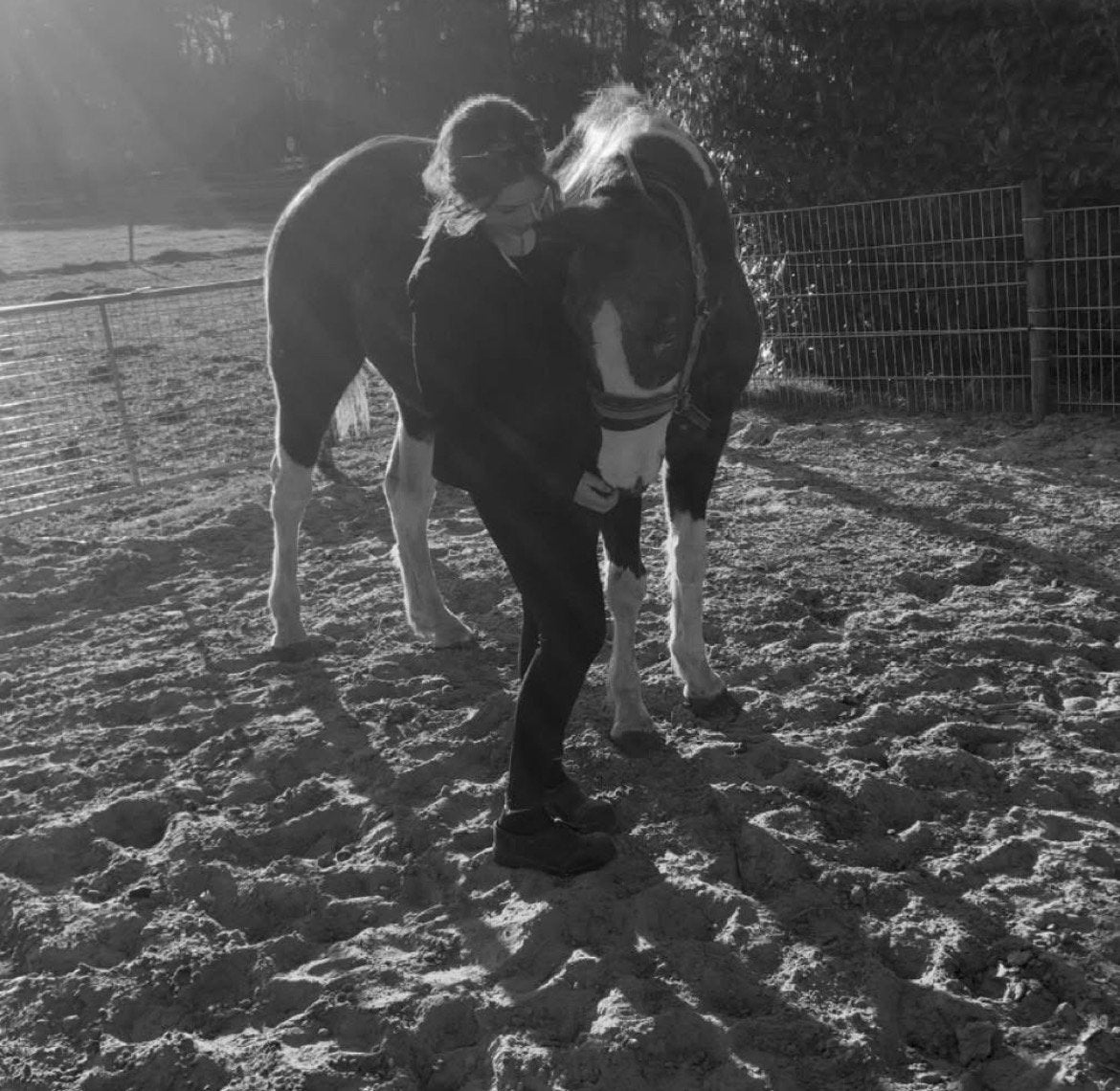 Bijrijd/verzorg paard gezocht, Dieren en Toebehoren, Ophalen, Zo goed als nieuw