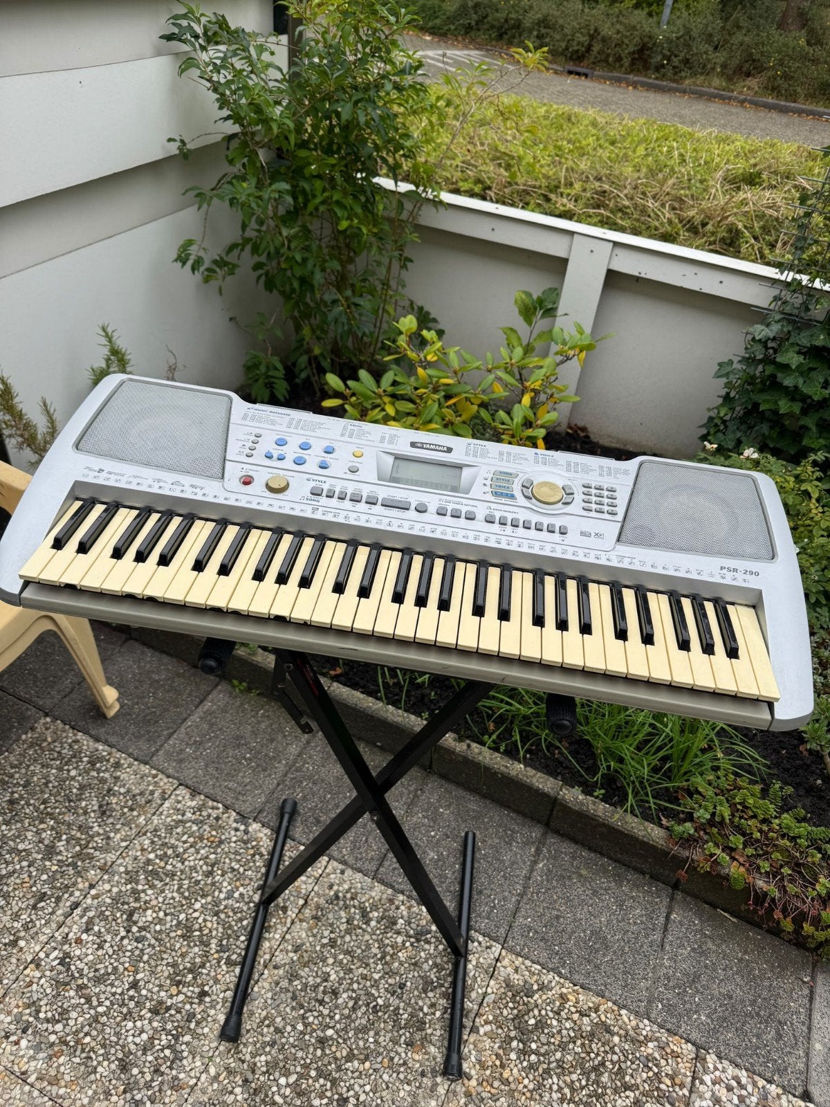 Yamaha PSR-290 keyboard met standaard, Ophalen, Yamaha, Met standaard, 61 toetsen