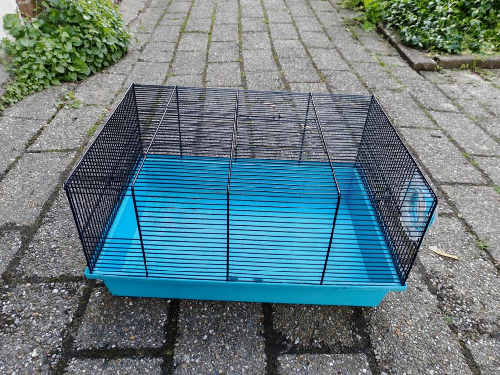 Gratis hok voor kleine knaagdieren zoals cavia, Dieren en Toebehoren, Knaagdieren en Konijnen | Hokken en Kooien, Ophalen, Kooi