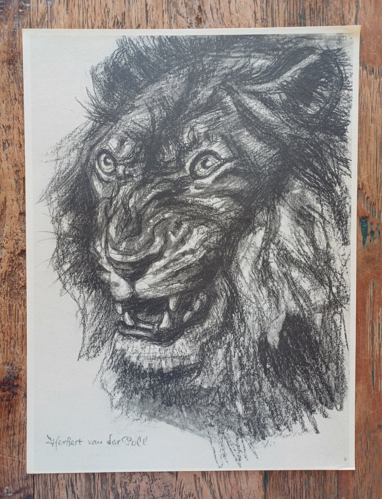 Leeuwenkop Herbert van der Poll op Watermerkpapier € 10, Ophalen