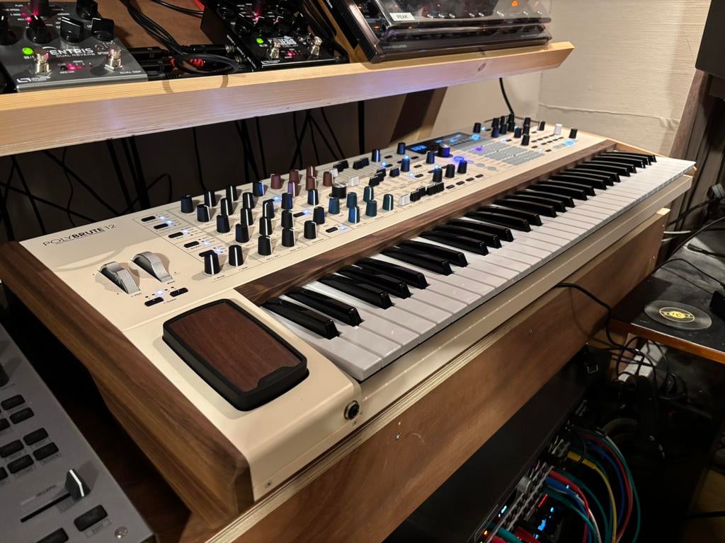 Arturia Polybrute 12 (zgan), Muziek en Instrumenten, Synthesizers, Ophalen of Verzenden, Zo goed als nieuw, Overige aantallen