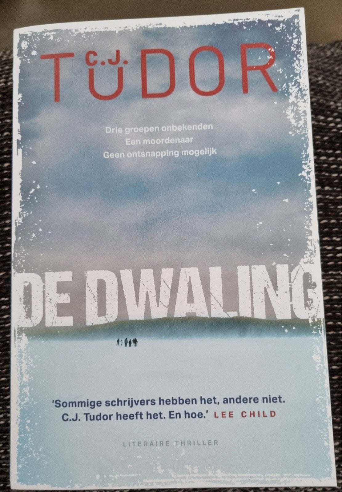CJ Tudor, De Dwaling, Ophalen of Verzenden, Nieuw