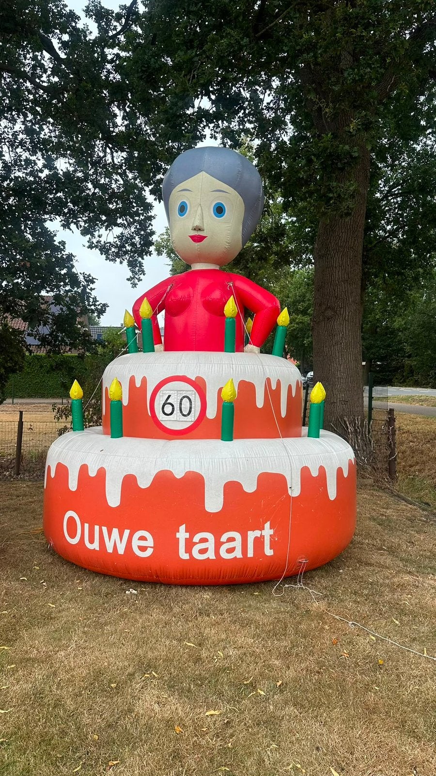 Sarah ouwe taart te huur alle leeftijden, Ophalen of Verzenden, Zo goed als nieuw, Abraham of Sarah