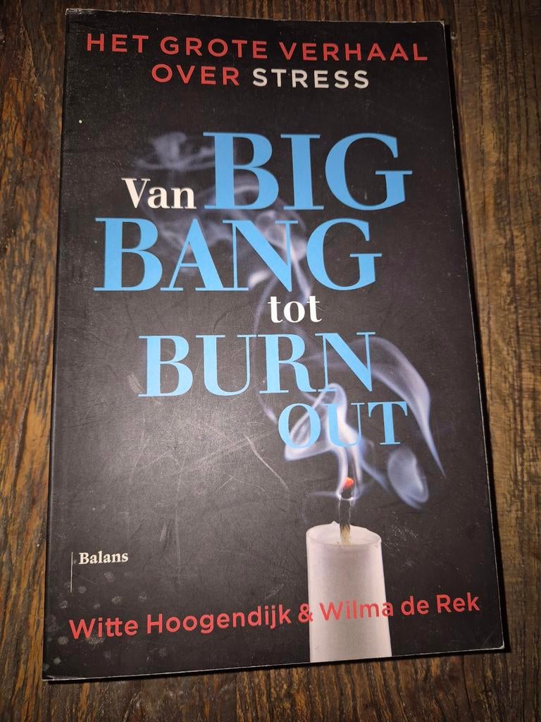 Het Grote Verhaal Over Stress: Van Big Bang tot Burn Out, Ophalen of Verzenden, Gelezen, Gezondheid en Conditie, Witte Hoogendijk & Wilma de Rek