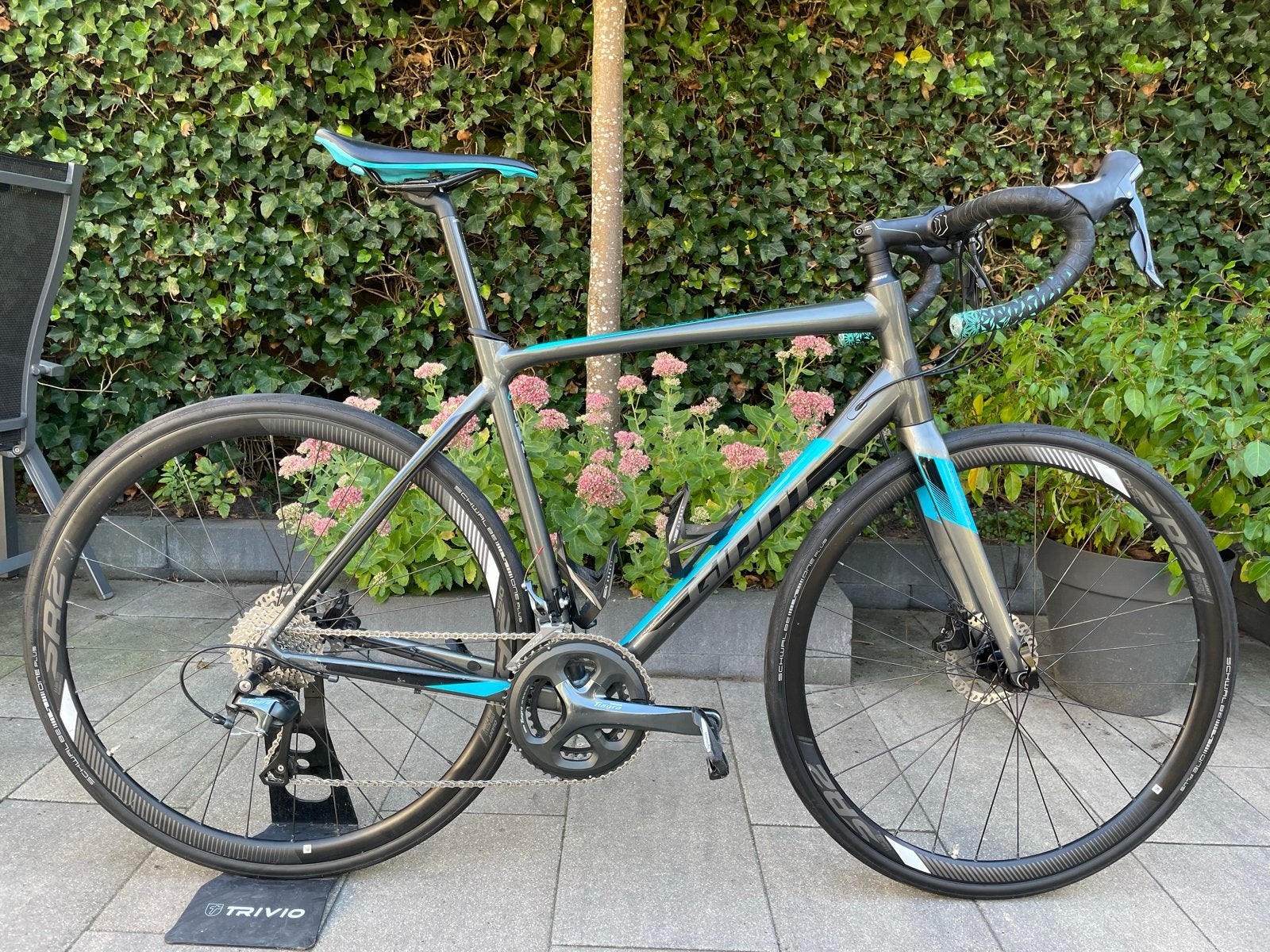 Racefiets. Giant Contend SL 2 Disc. Maat ML. Schijfremmen., Fietsen en Brommers, Fietsen | Racefietsen, Ophalen, Aluminium, Giant