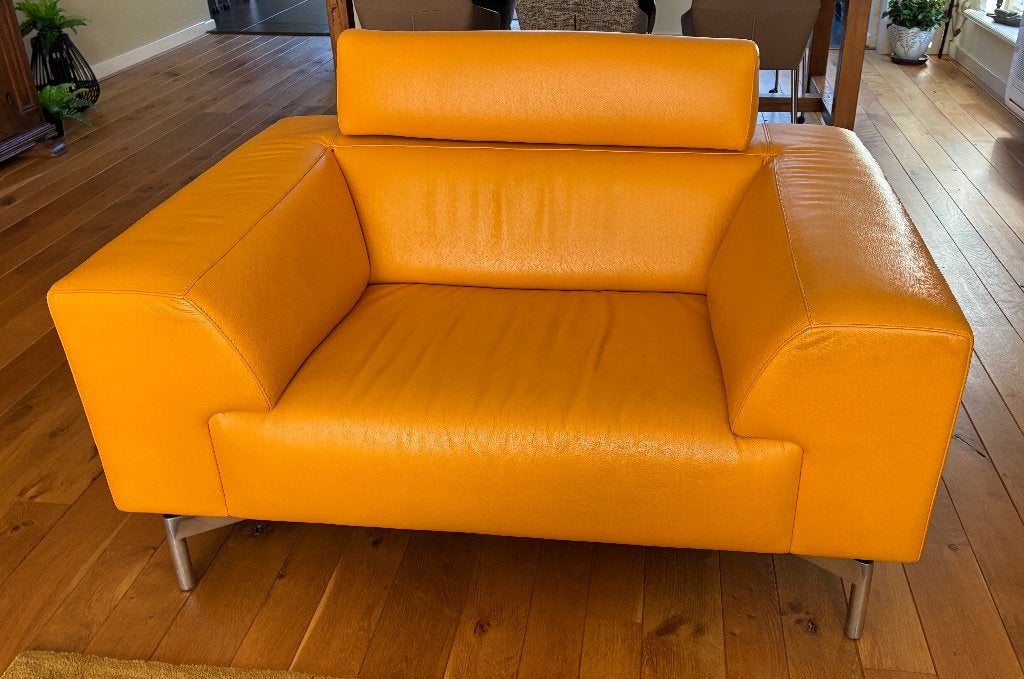 Leolux Howlo lederen design loveseat, Ophalen, Zo goed als nieuw, Modern, Leer