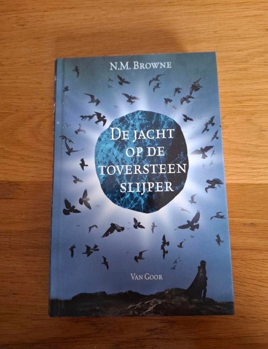 De jacht op de toversteenslijper - Jeugdfantasy, Ophalen of Verzenden, Nieuw, Browne, N.M.