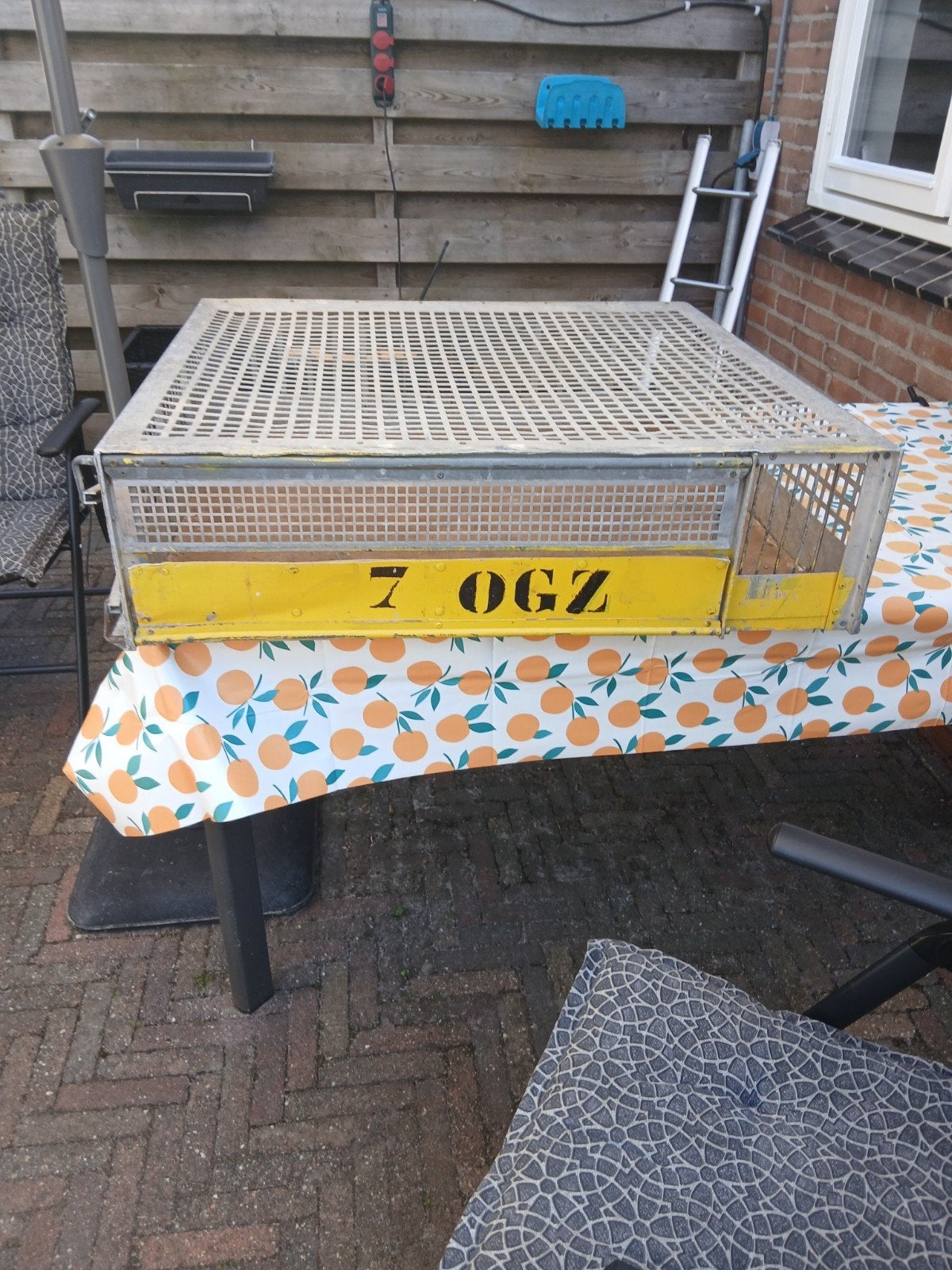 Duiven verzendmand, Dieren en Toebehoren, Vogels | Duiven, Meerdere dieren, Postduif