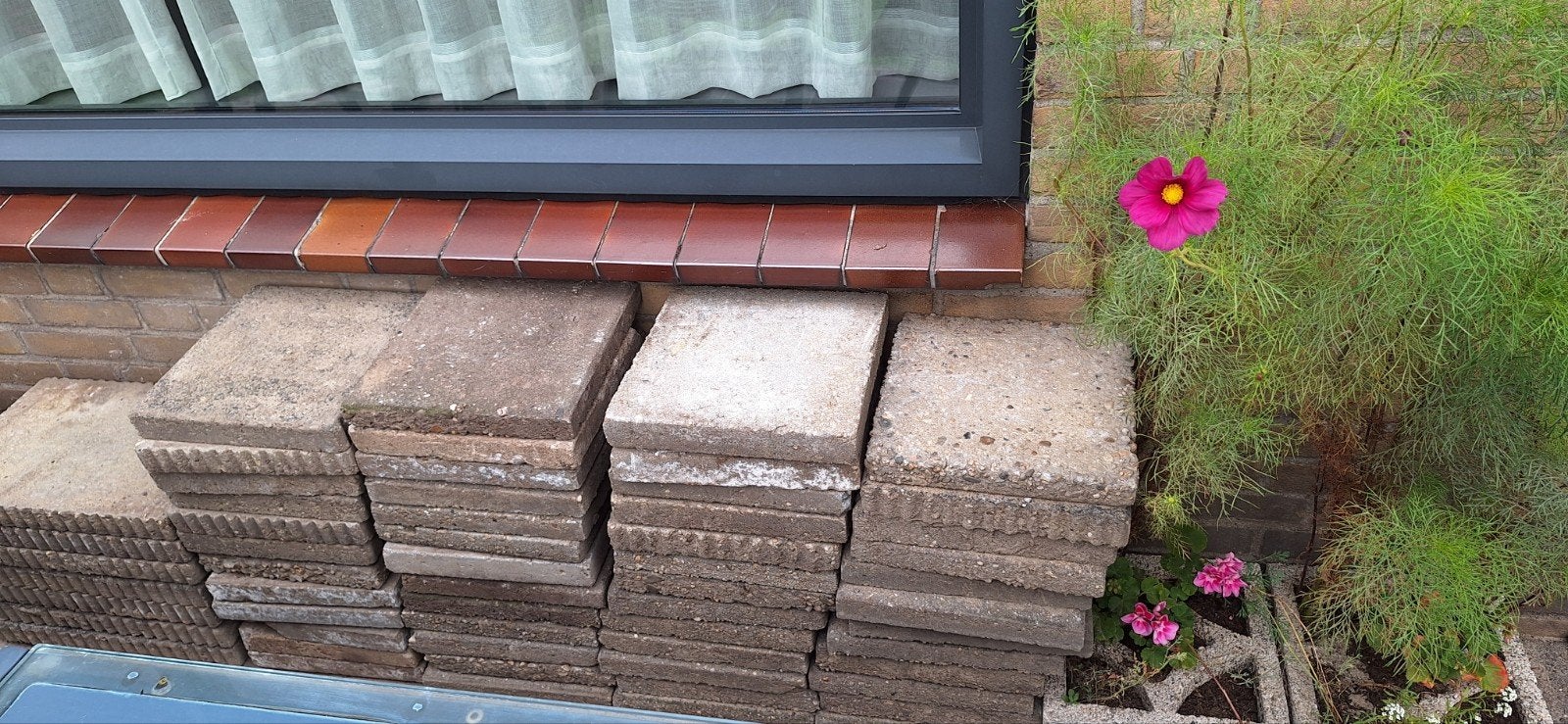GRATIS stoeptegels 30x30cm 50 stuks, Tuin en Terras, Ophalen, Gebruikt, 5 tot 10 m², Beton
