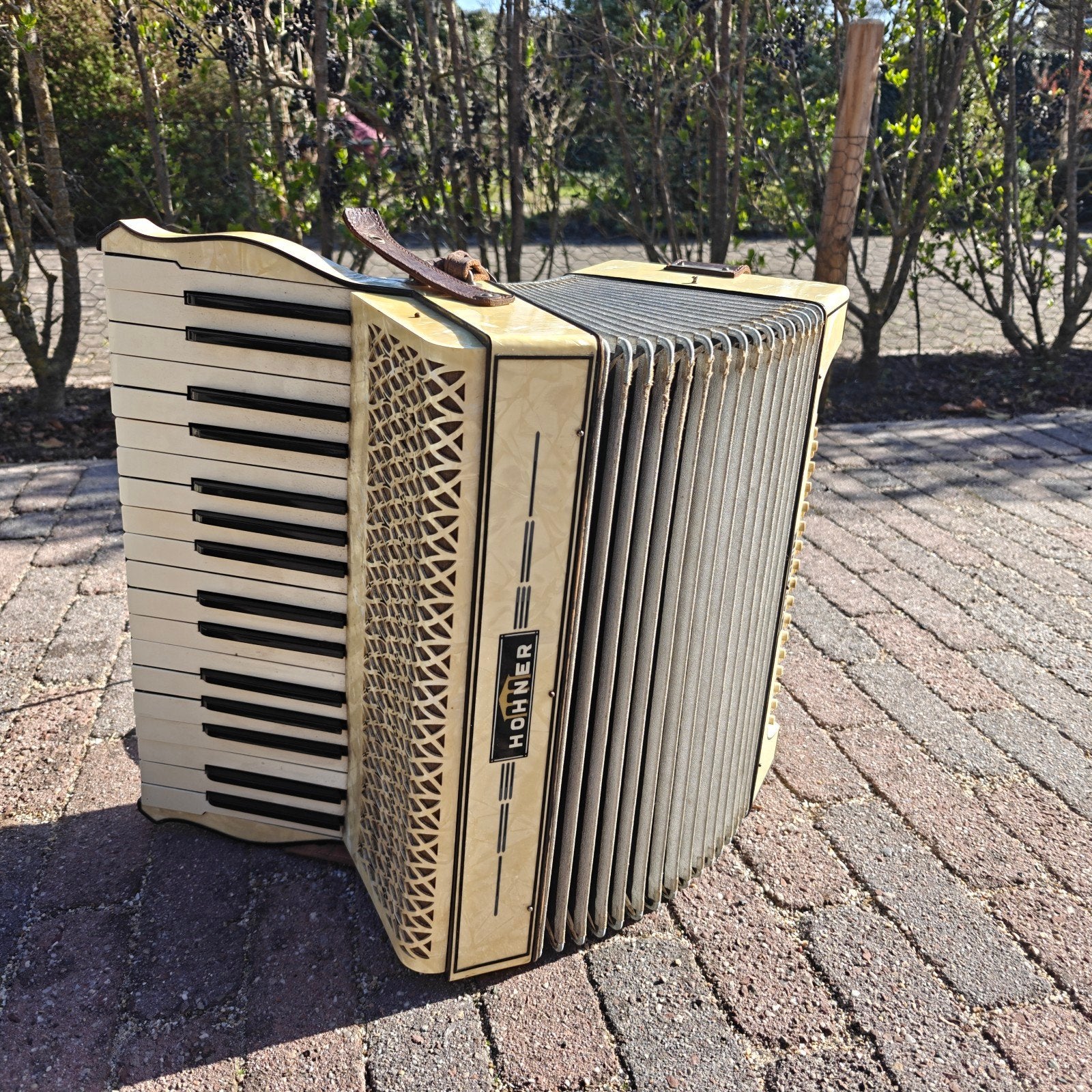 Hohner Verdi II Accordeon met koffer - Vintage, Muziek en Instrumenten, Accordeons, Gebruikt, Overige formaten, Met koffer, Hohner