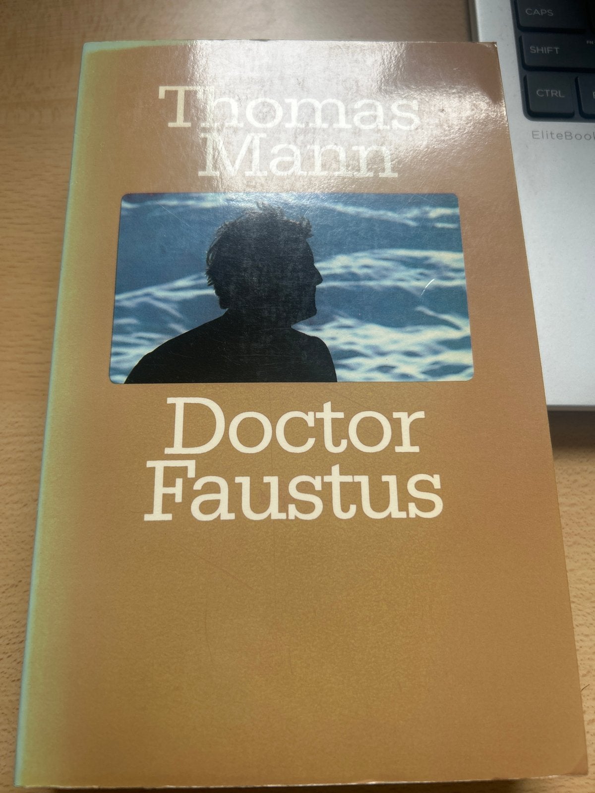 Doctor Faustus - Thomas Mann (Gelezen), Ophalen of Verzenden, Gelezen, Europa overig