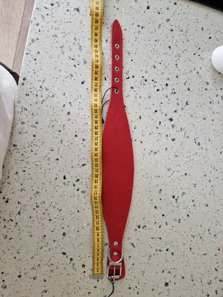 Een speciale halsband voor teckels, 45cm x 7 cm, Ophalen of Verzenden, Nieuw