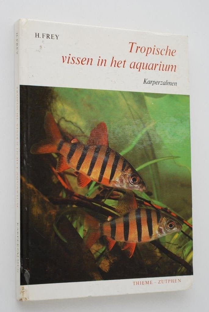 Tropische vissen in het aquarium - Karperzalmen