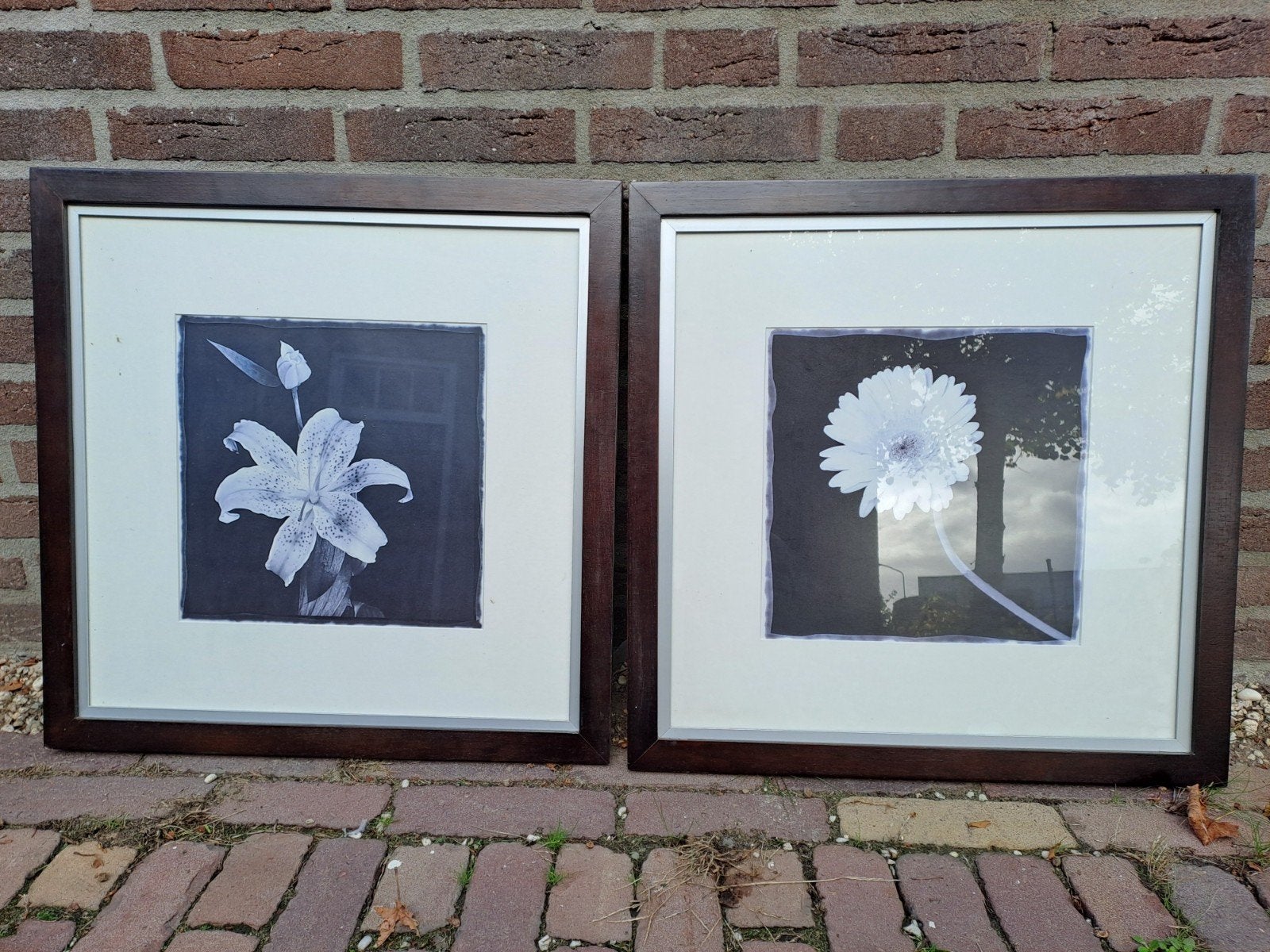 Schilderijen Ikea, Ophalen of Verzenden, Print, Print/reproductie, Ingelijst