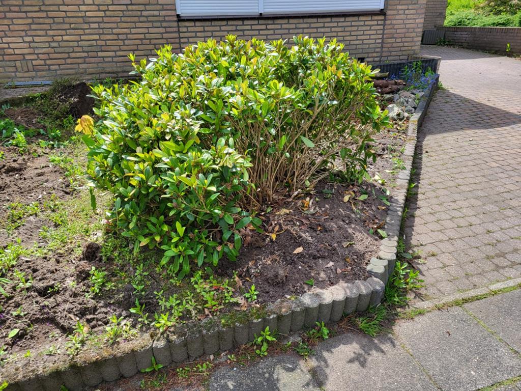 Gratis aftehalen in Tegelen., Ophalen, Overige soorten, 100 tot 250 cm