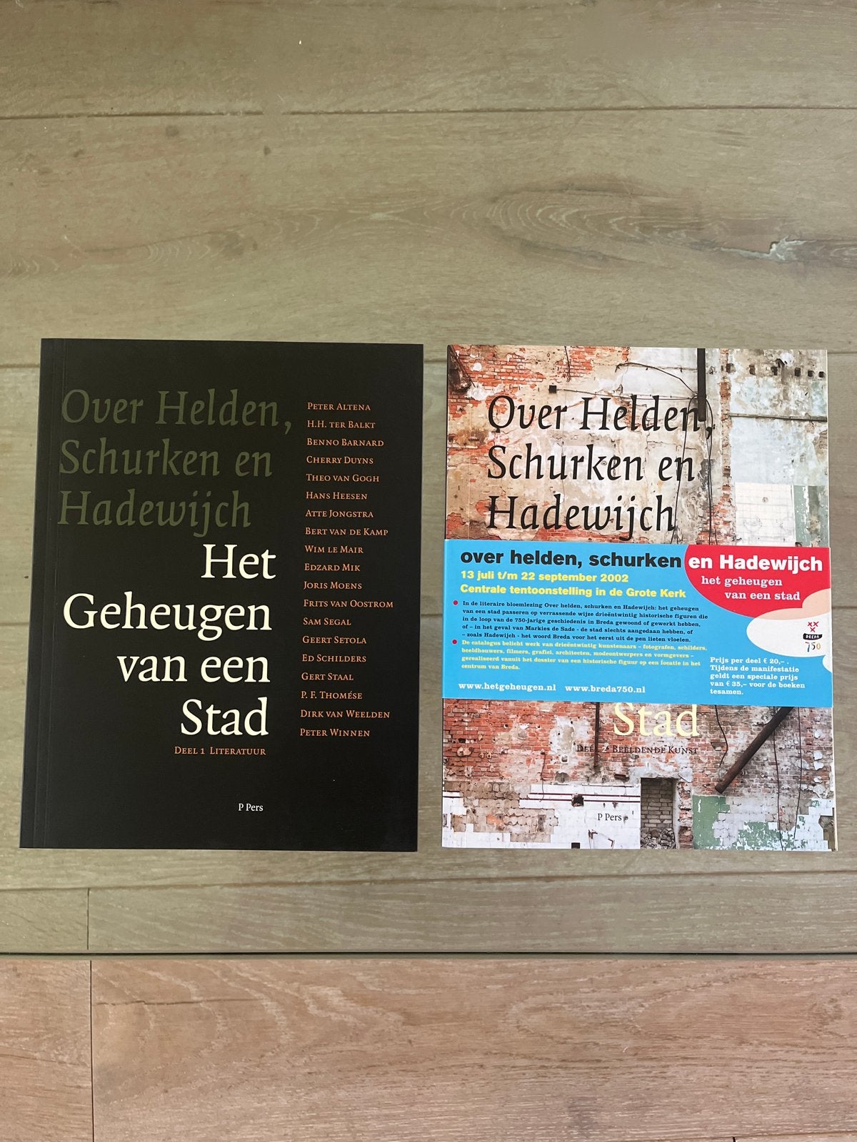 Het Geheugen van een Stad - Over Helden, Schurken en Hadewij, Ophalen of Verzenden, Gelezen, Nederland