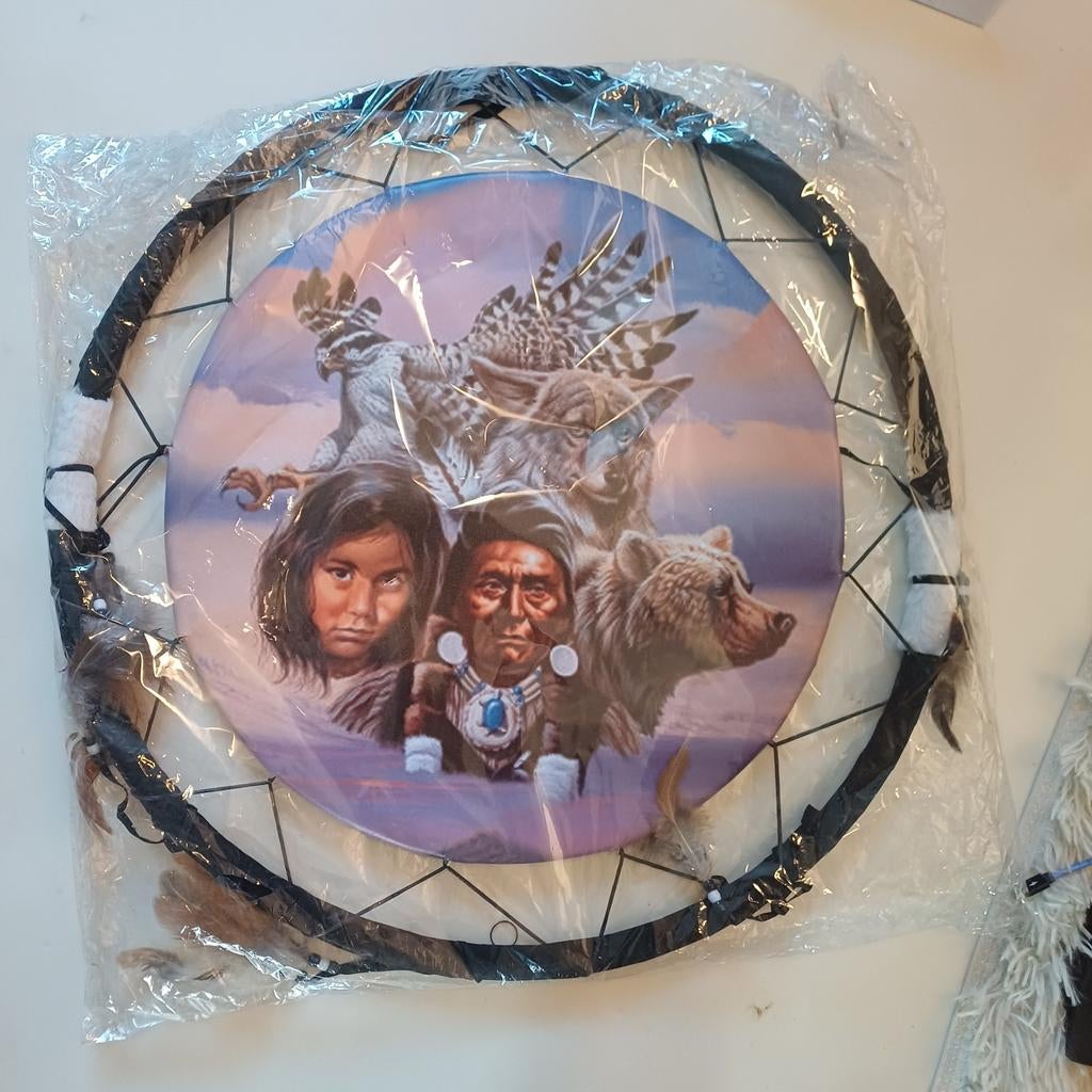 Droomvanger indiaan, Ophalen, 50 tot 75 cm, Nieuw, Schilderij