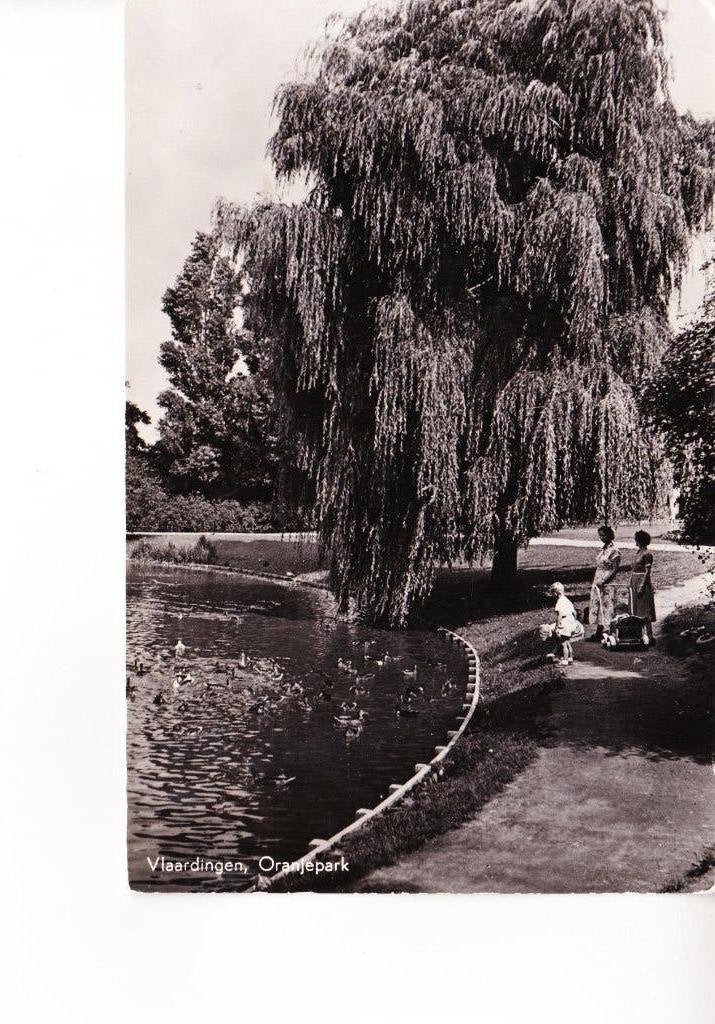 VLAARDINGEN,- Oranjepark. Dames met kinderwagen. 29-07, Ophalen of Verzenden, 1940 tot 1960, Gelopen, Zuid-Holland