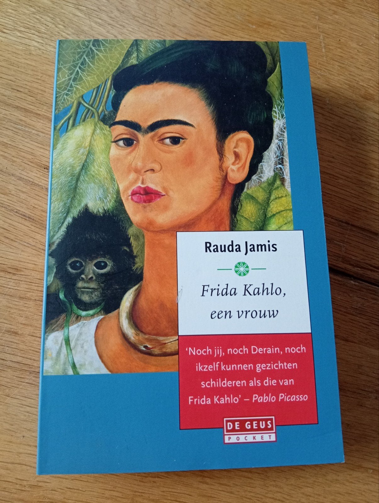 Frida Kahlo, een vrouw - Rauda Jamis (biografie), Gelezen, Ophalen of Verzenden, Nederland, Rauda Jamis