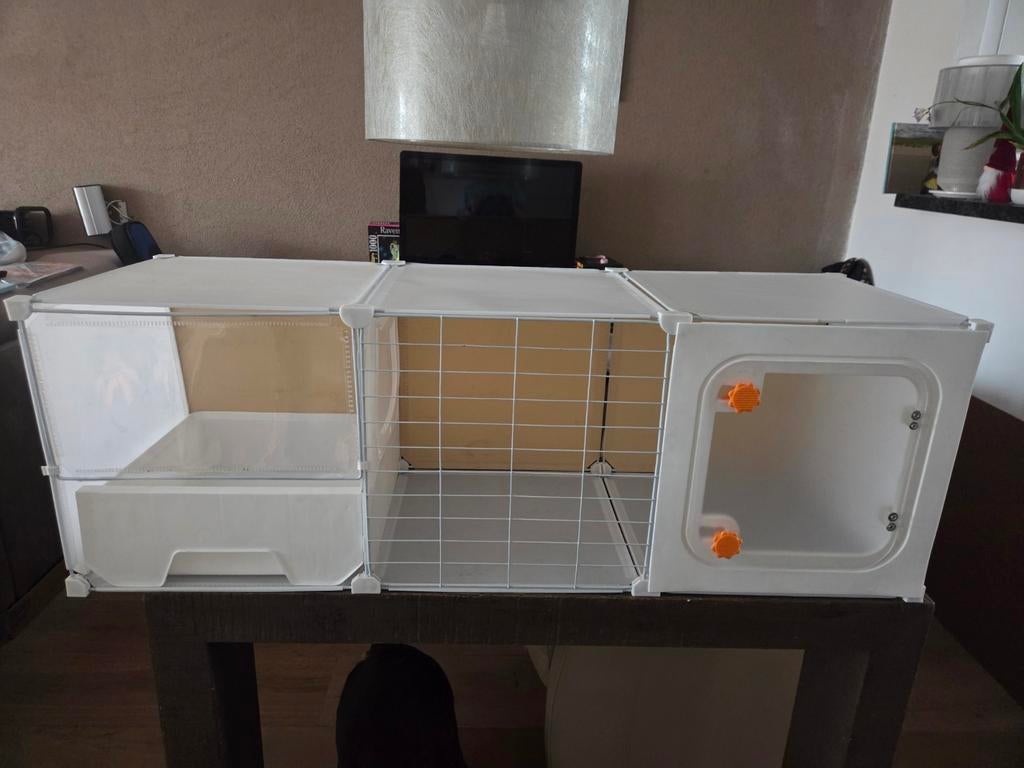 Kattenbench voor kitten, Poes