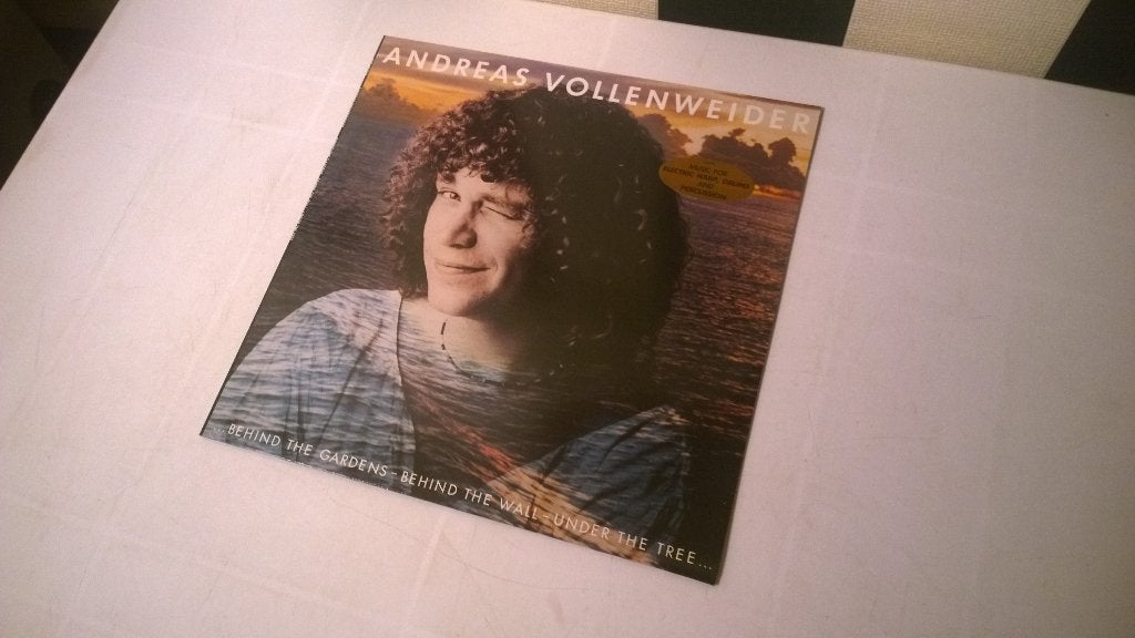 Andreas vollenweider ‎– ...Behind the gardens - behind the w, Ophalen, LP, Gebruikt, Pop